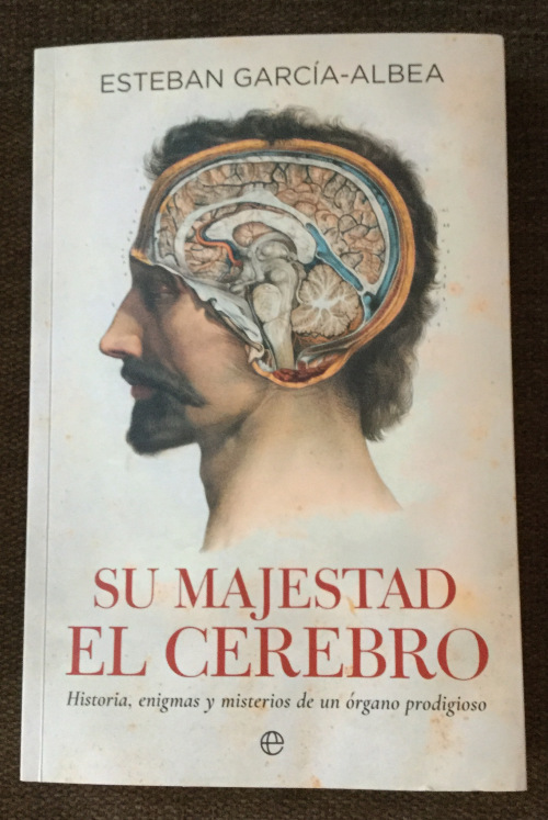 portada cerebro